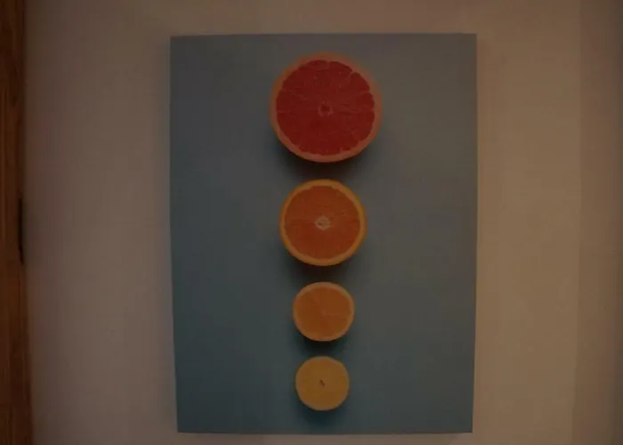 Silva By The Sea With Nazare's Views Nazaré