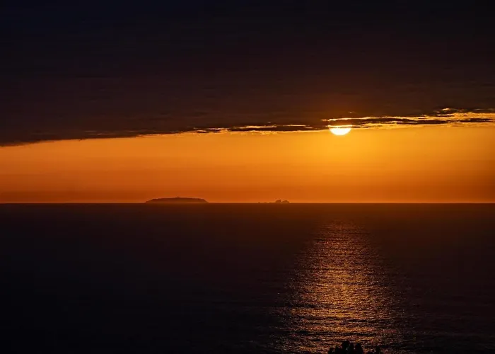 Silva By The Sea With Nazare's Views